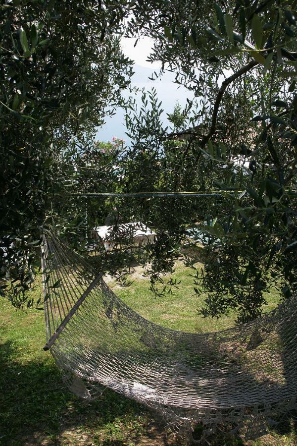 Appartamenti Serena - Nonna Agnese Gargnano Bagian luar foto